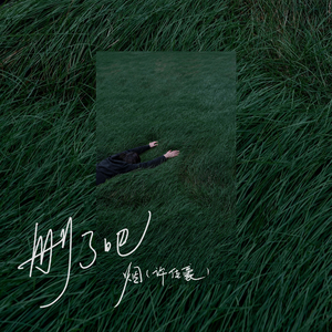 日本亲近相尾妈妈儿子综艺
