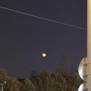 日本亲近相尾妈妈儿子综艺
