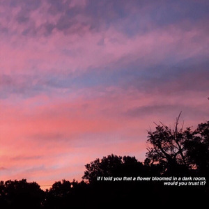 日本亲近相尾妈妈儿子综艺
