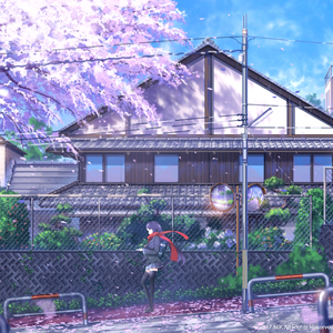 日本亲近相尾妈妈儿子综艺
